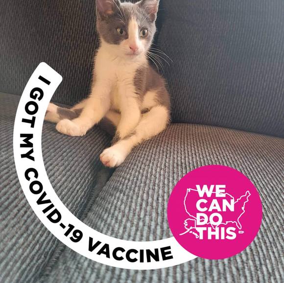 Meet your Posher, David - Picture 1 of 1